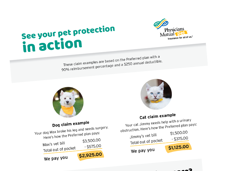 Pet information kit